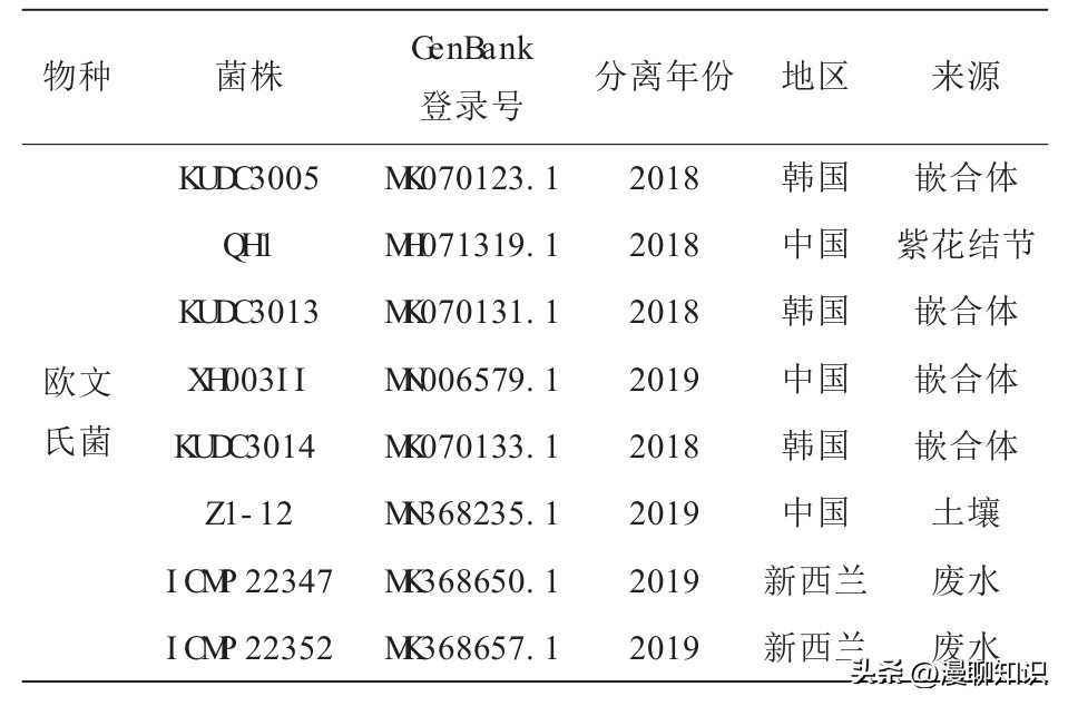 鸡源欧文氏菌是什么？关于它的分离鉴定及耐药基因检测