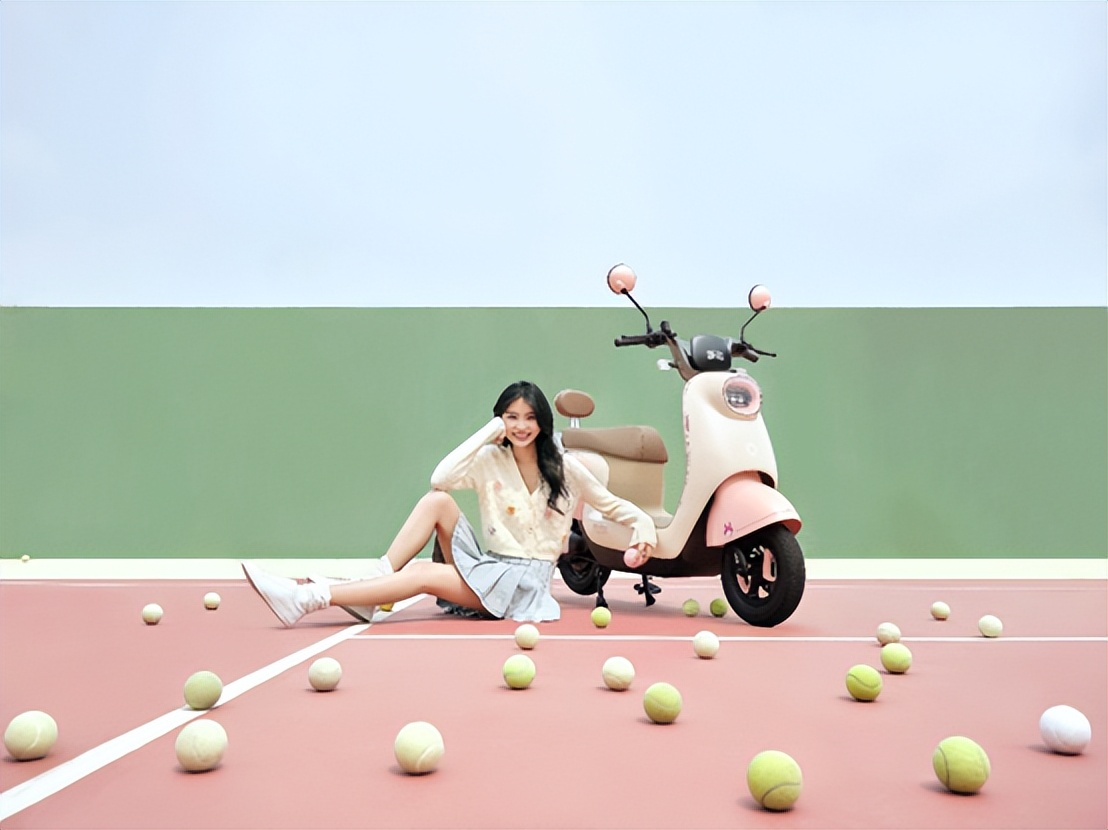 新日最新高品质电动车,新日电动车推荐超长续航