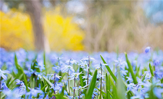 回南天墙壁全是水用什么材料防潮,回南天墙面潮湿怎么补救