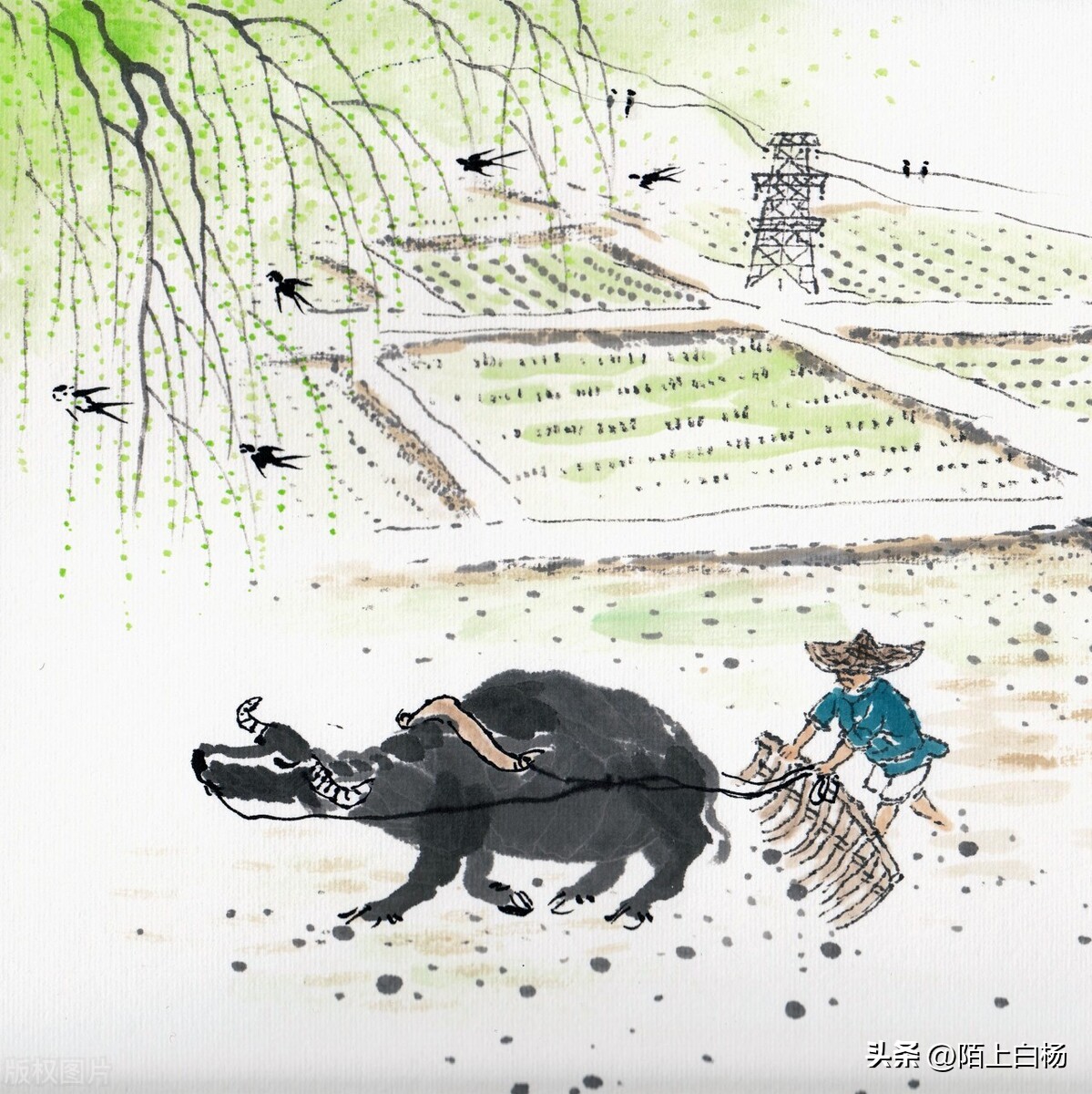 农历注意的事项,农历大家都知道什么