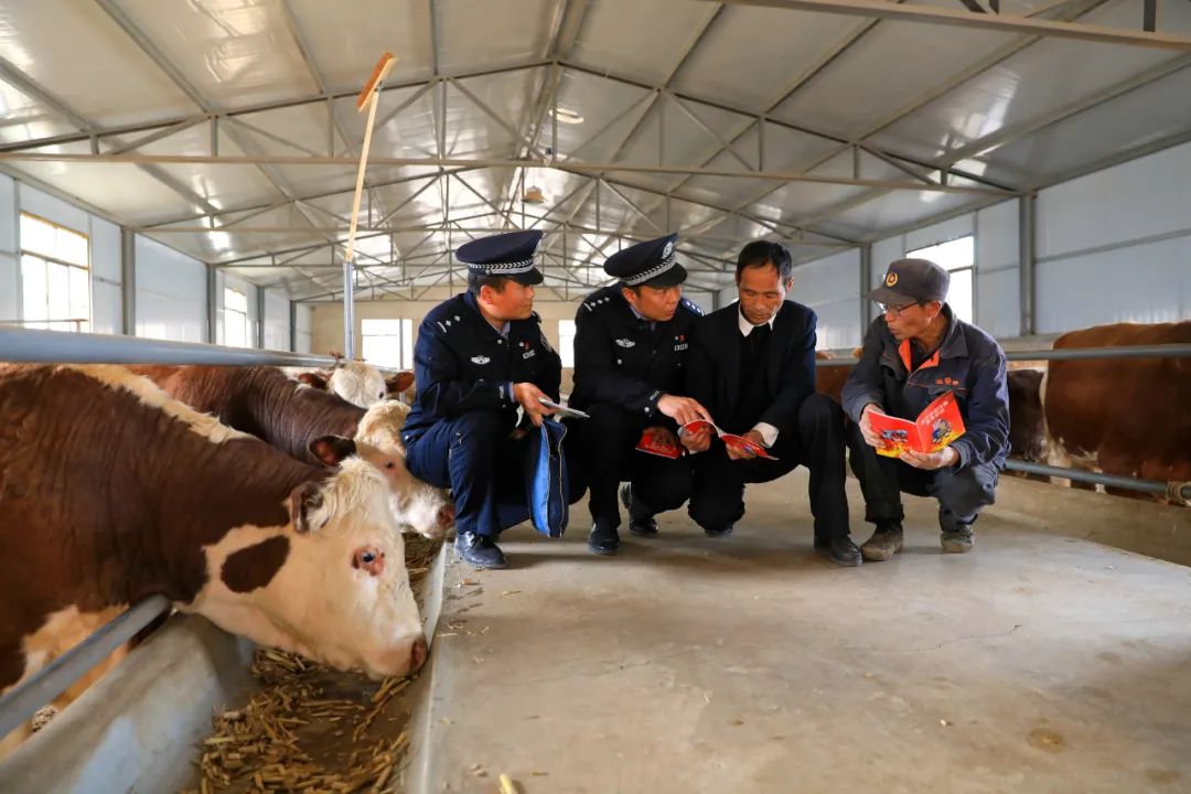 基层治安治理与矛盾风险预防化解,全力维护辖区治安大力排查矛盾