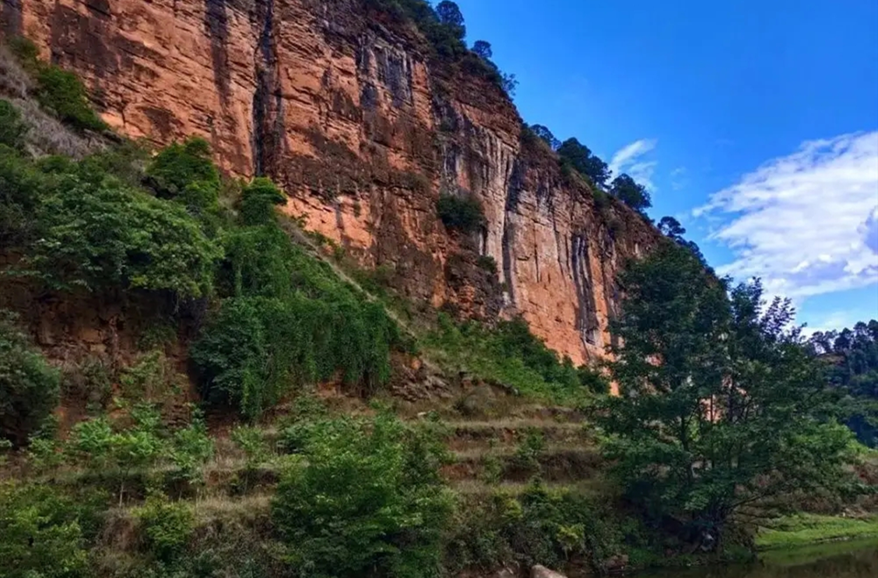 1937年大熊猫被外国人偷走,1939年被伦敦偷走的大熊猫