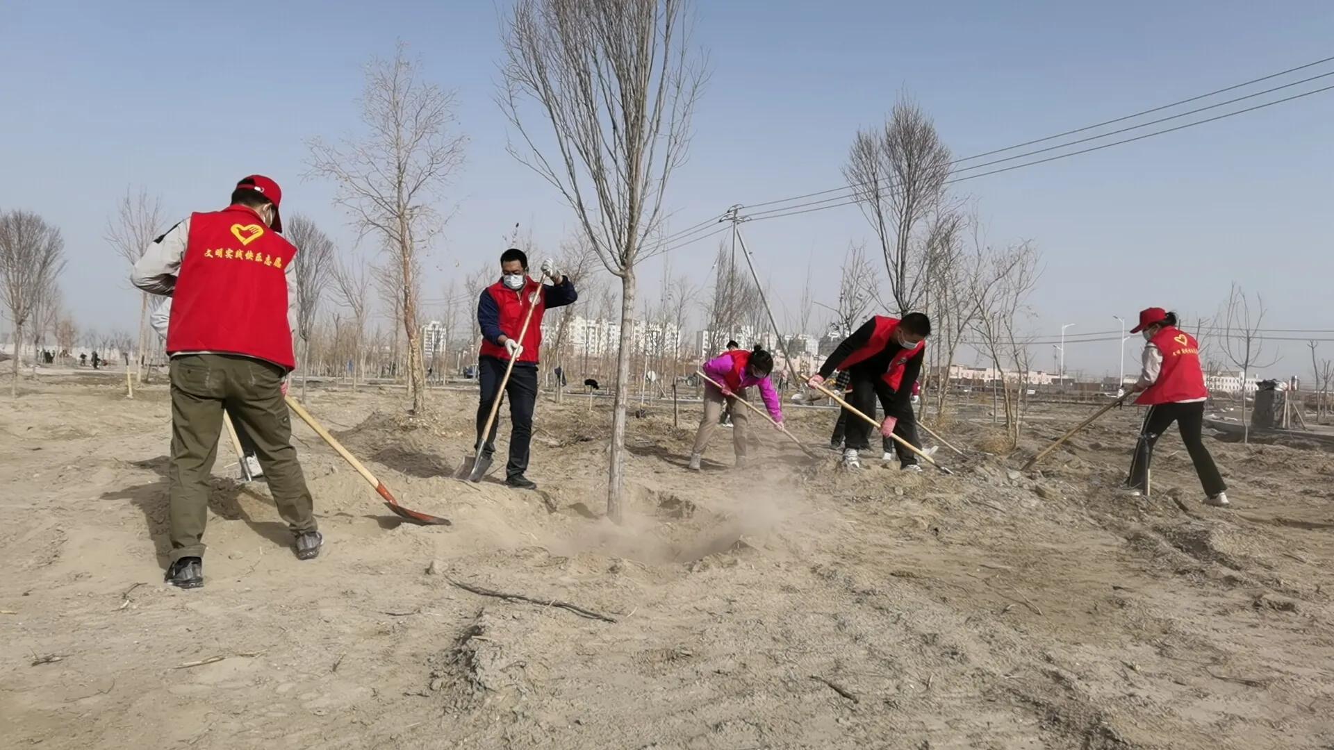 白河白蜡,秋植白蜡