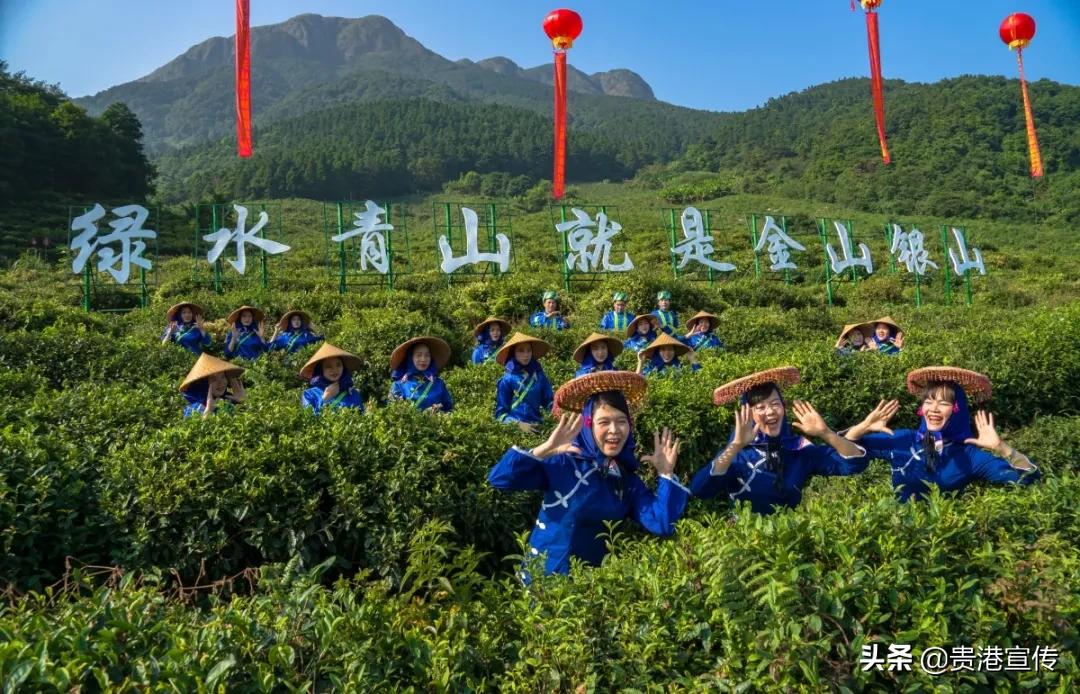 春节贵港一日游最佳攻略,春节贵港去哪里玩