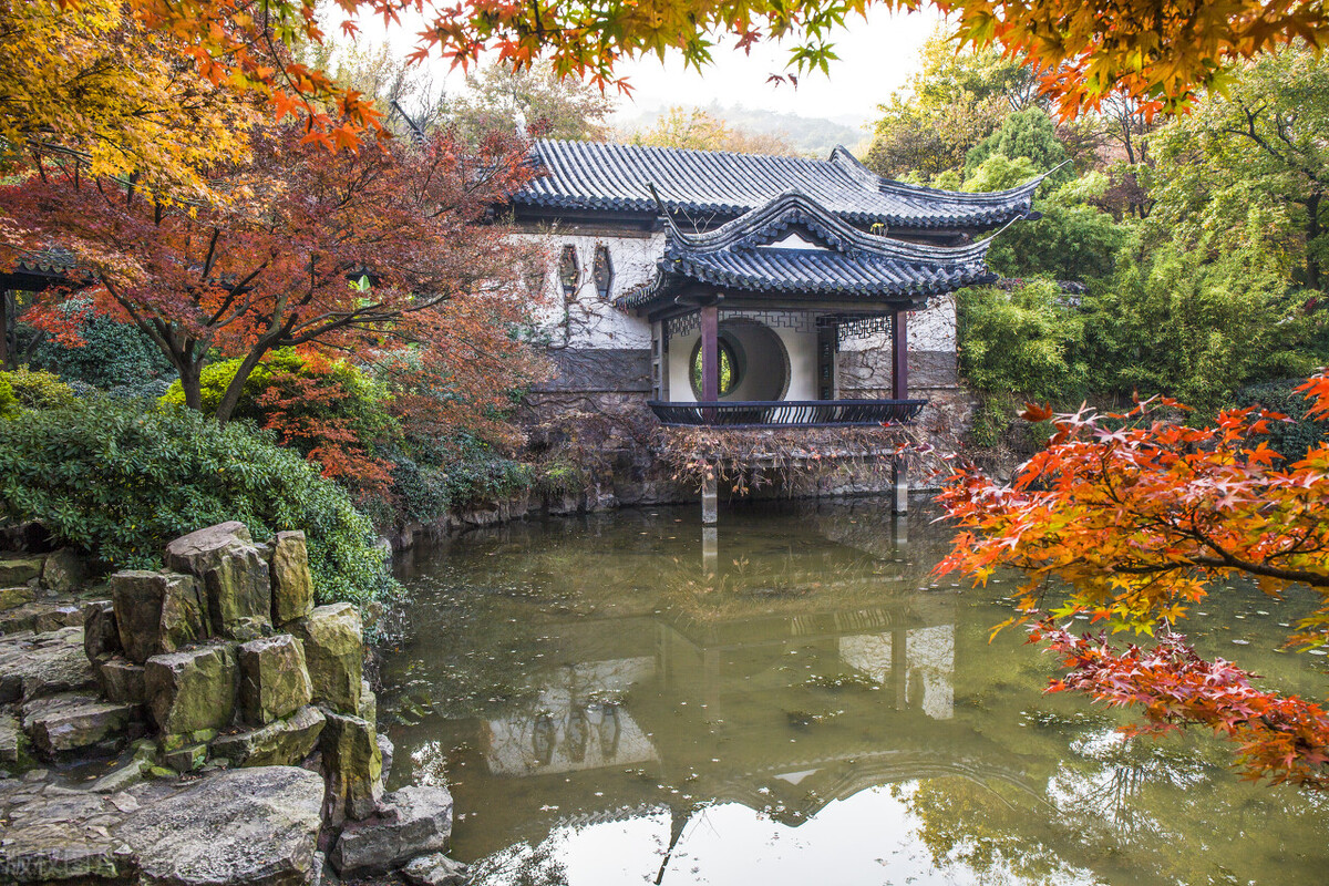 （小小说）真假“老板娘”