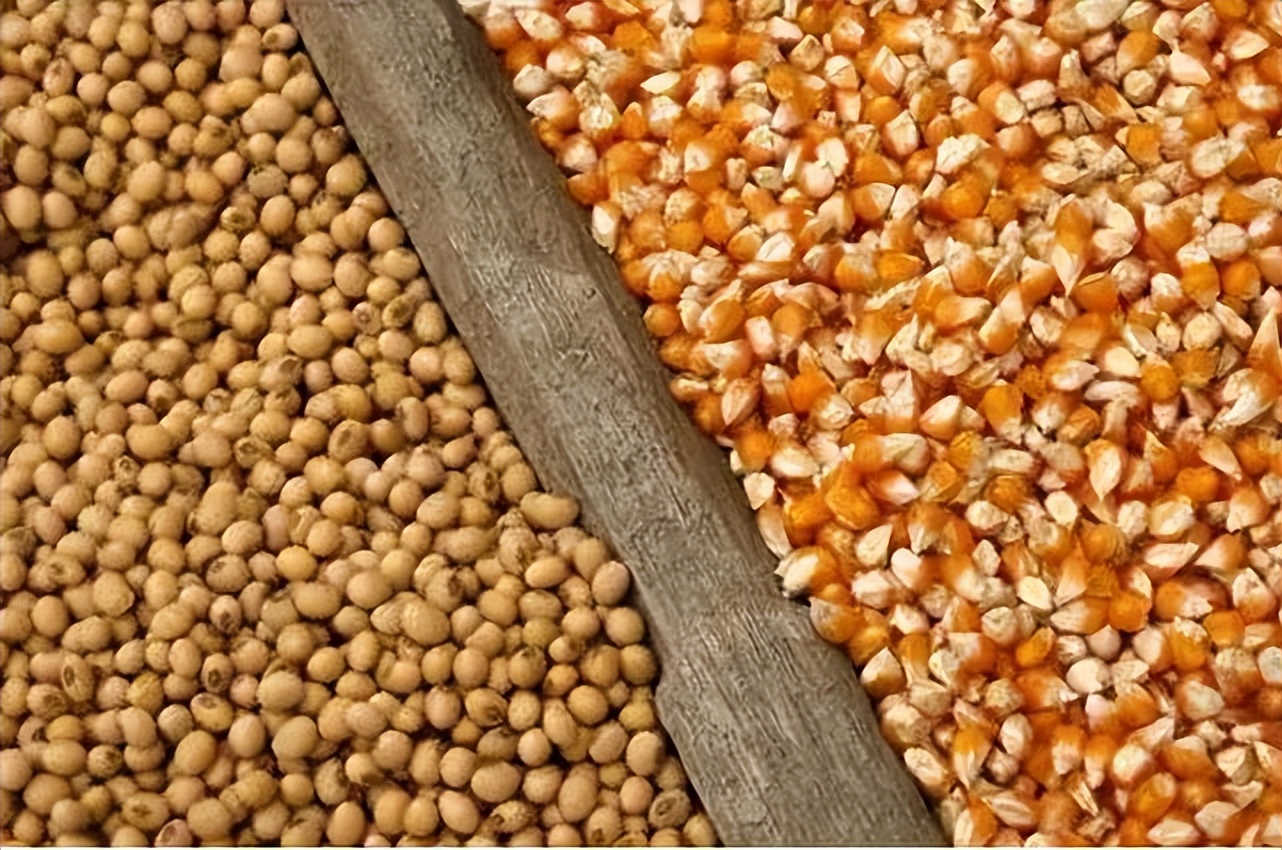 冲高回落豆粕将继续高位震荡,地区豆粕主流报价跌至2500元吨