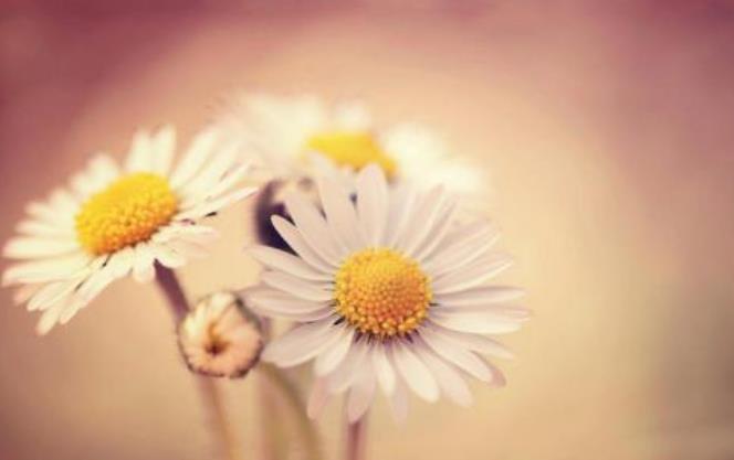 当别人瞧不起你时最有力的反击,当别人看不起你的时候怎么反击