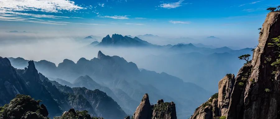 现在旅行社放开旅游了吗,旅行社优惠政策有哪些