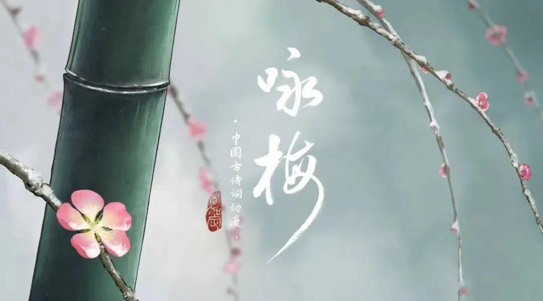 有没有完结的国产动漫推荐,推荐几部好看的动漫国产