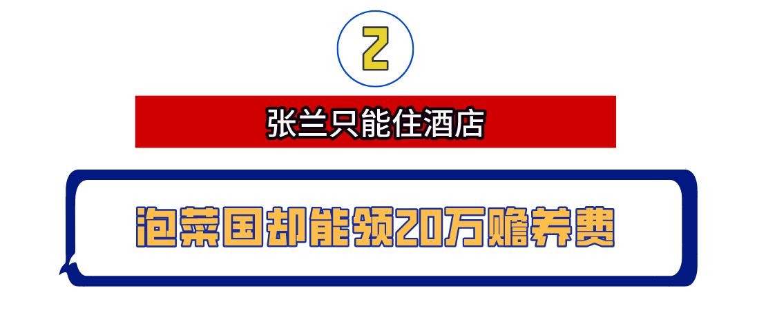 大s和汪小菲两败俱伤背后的原因,大s和汪小菲的离婚合同专业解读