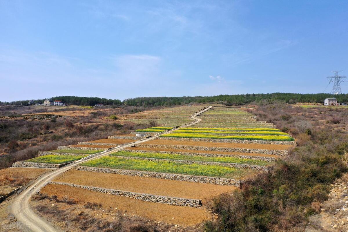2020年全国耕地及粮食产量,各省耕地面积和粮食产量