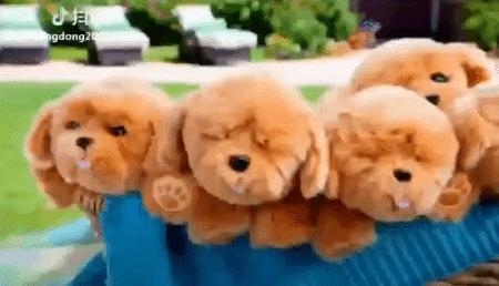 一家玩具店,一家玩具店的玩具有多好玩儿