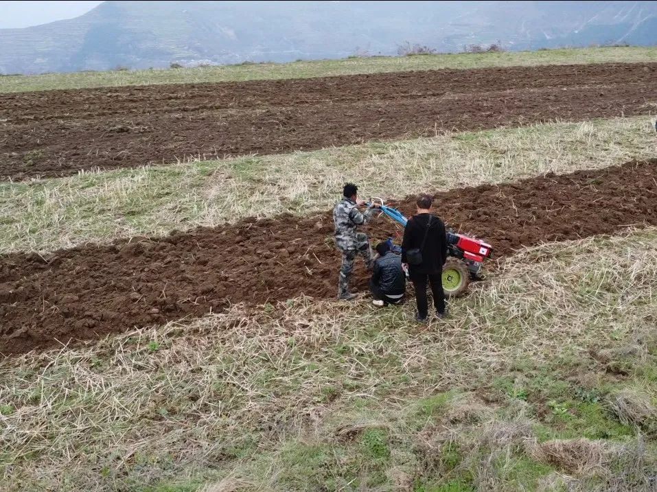 聚焦“1+6”产业丨舟曲八楞:机械化赋能中藏药材产业高质量发展