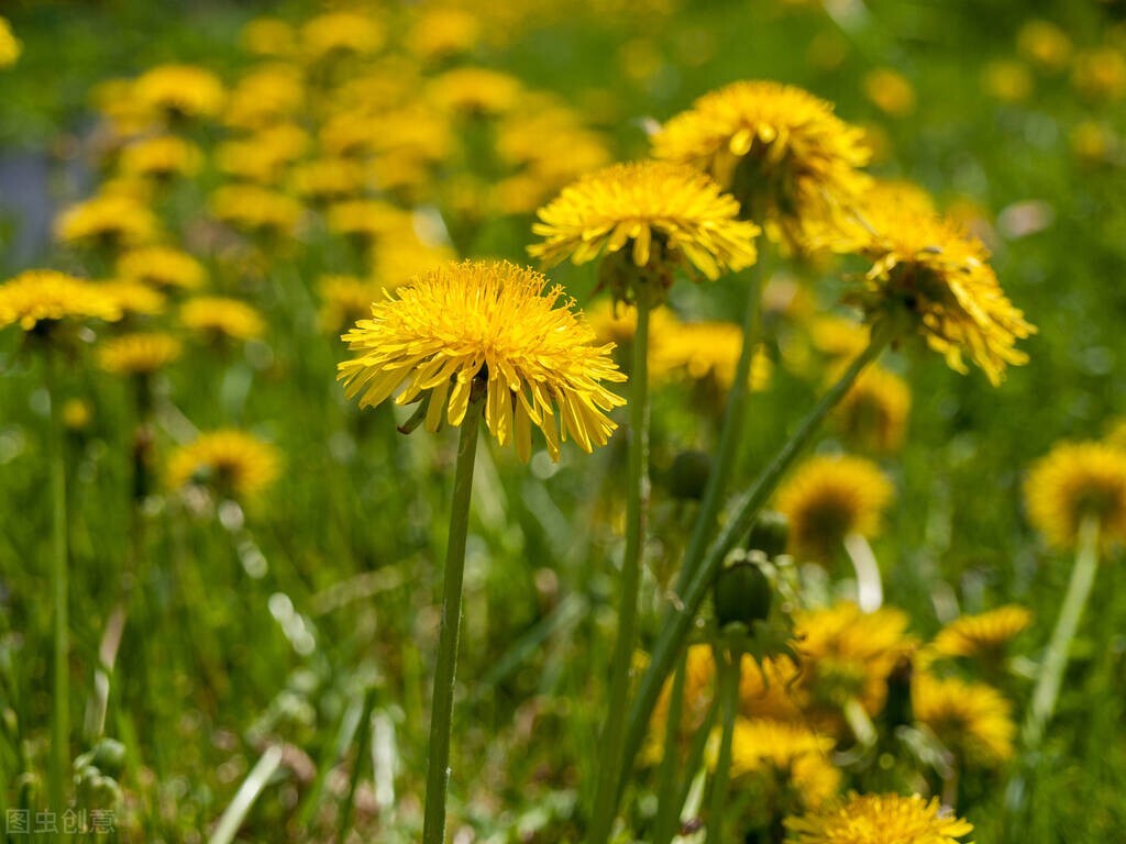 2022年中考现场实录语文作文,2023年中考关于成长类押题作文