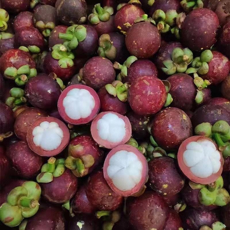 吃着水果泡温泉悠闲,吃水果温泉