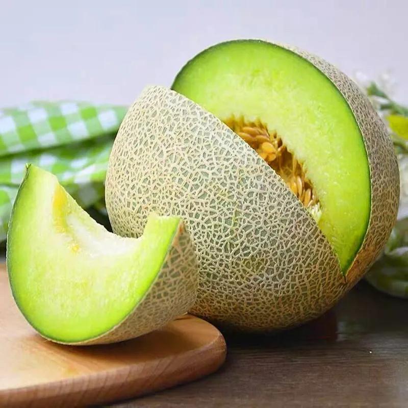 夕张王甜瓜多少钱一斤日本超市,夕张王甜瓜价格一个多少钱