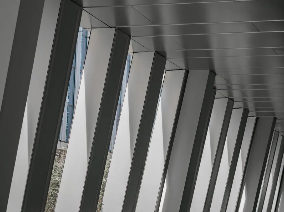 隐市藏金，觅得方寸松弛|上海黄金交易所深圳运营中心