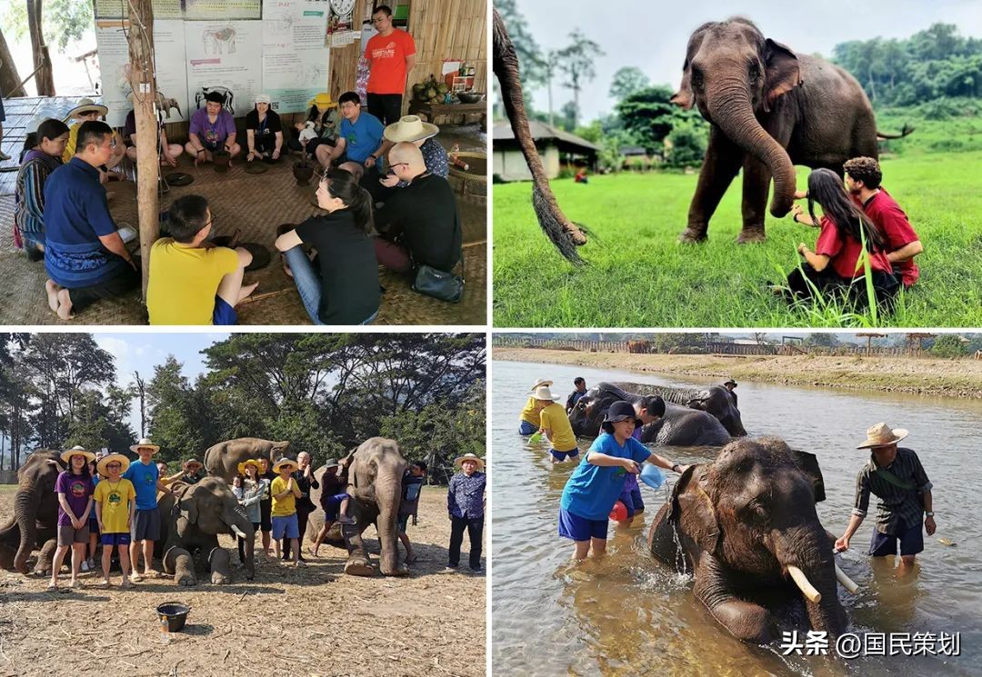 2024年清迈游学冬令营,泰国清迈有什么好项目