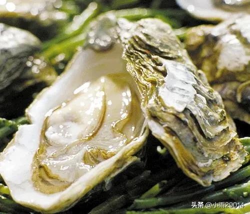 五一庄河亲子游,五一适合去的海边庄河