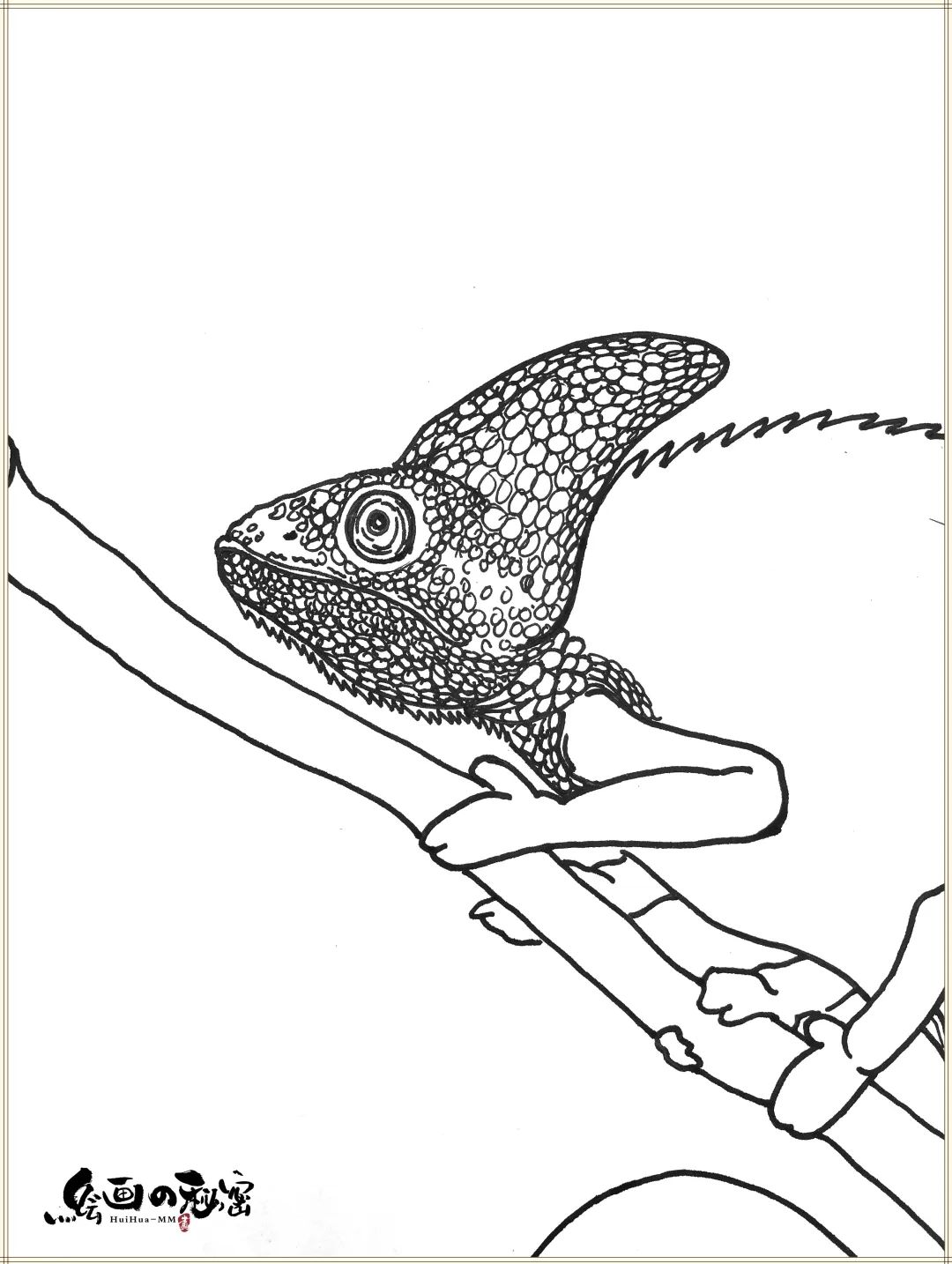 变色龙变色全过程,变色龙小说原文