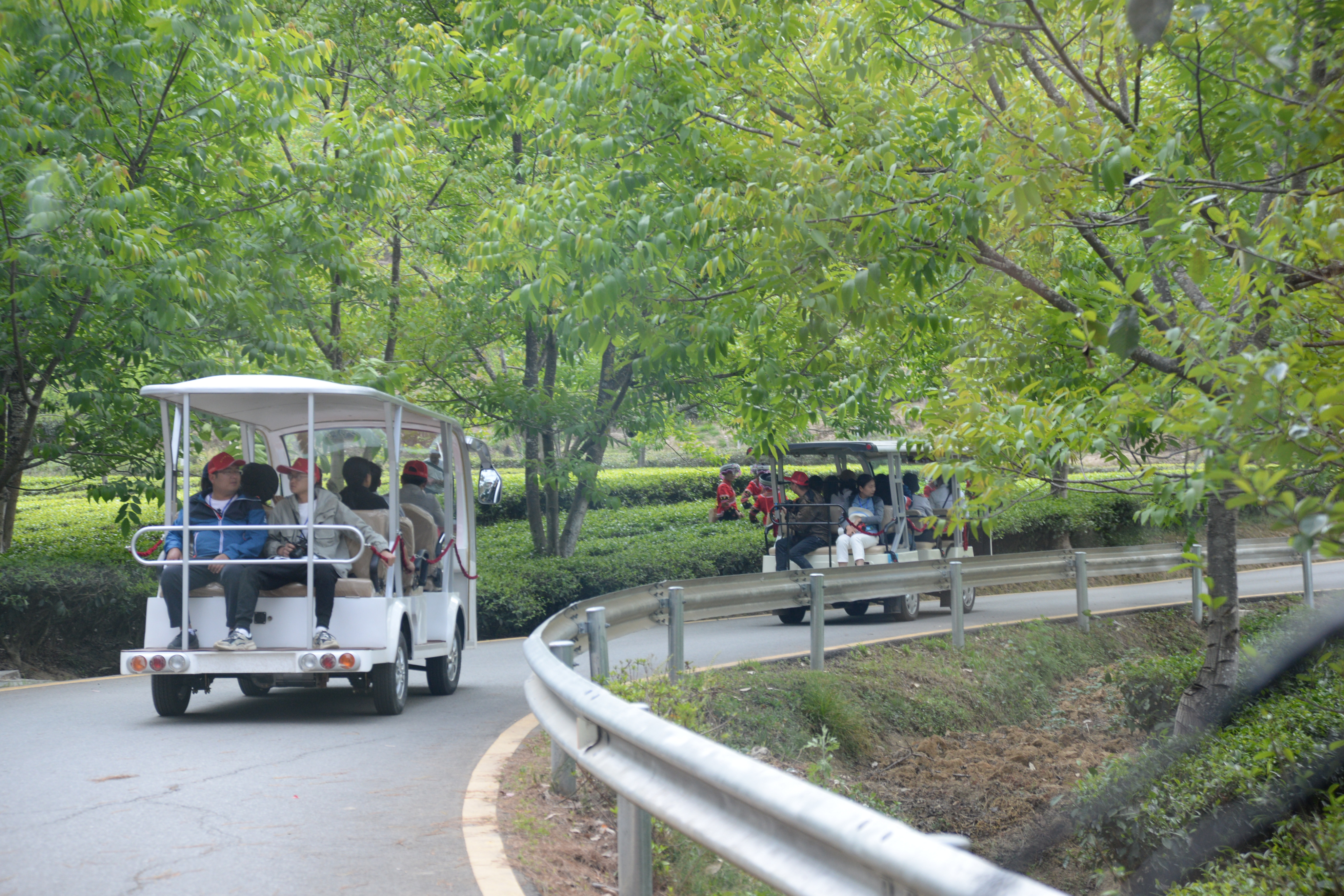 凤庆滇红自然条件,凤庆滇红茶叶之乡简介