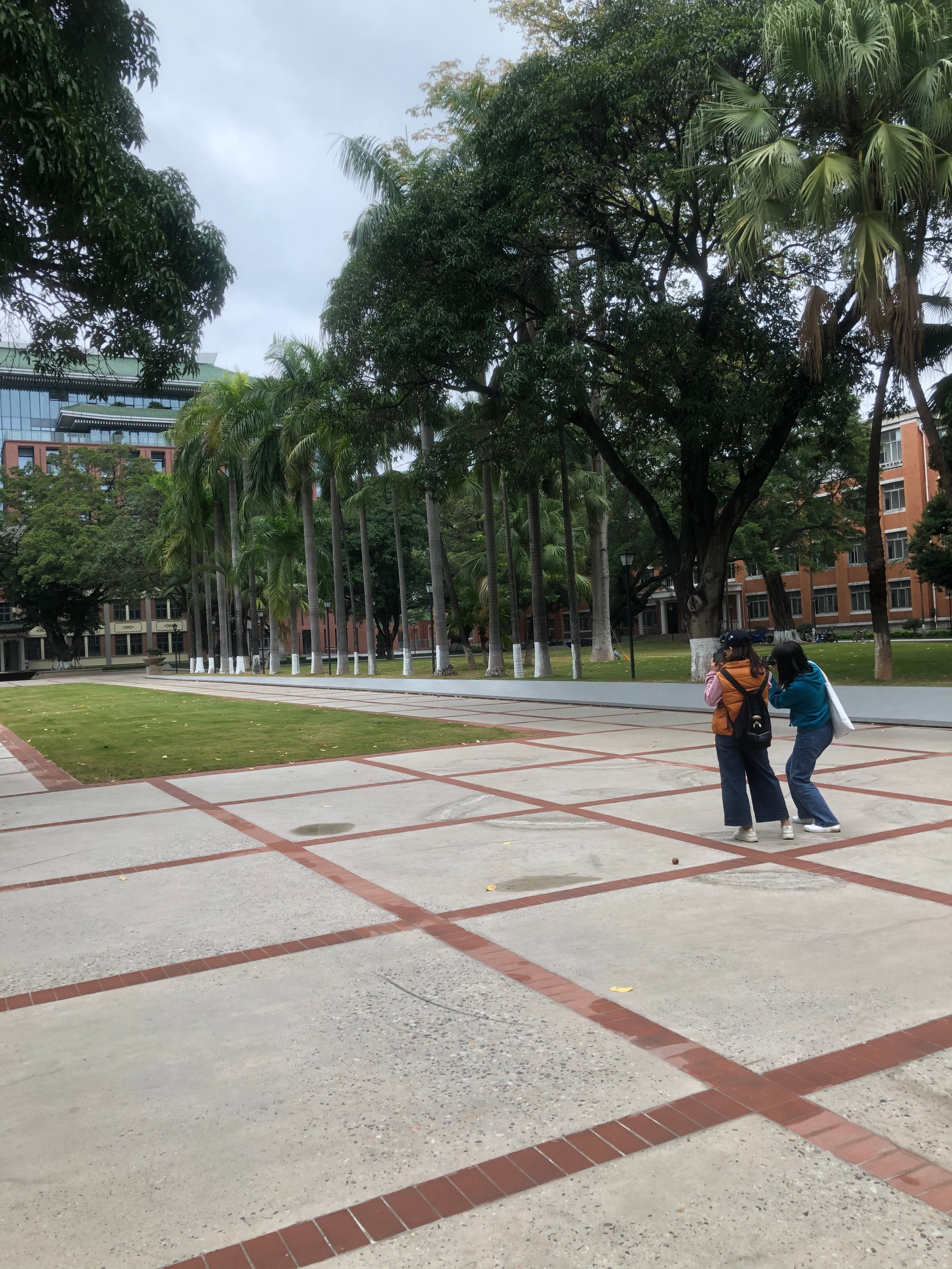 广州小城五山这个地方有多少个大学?