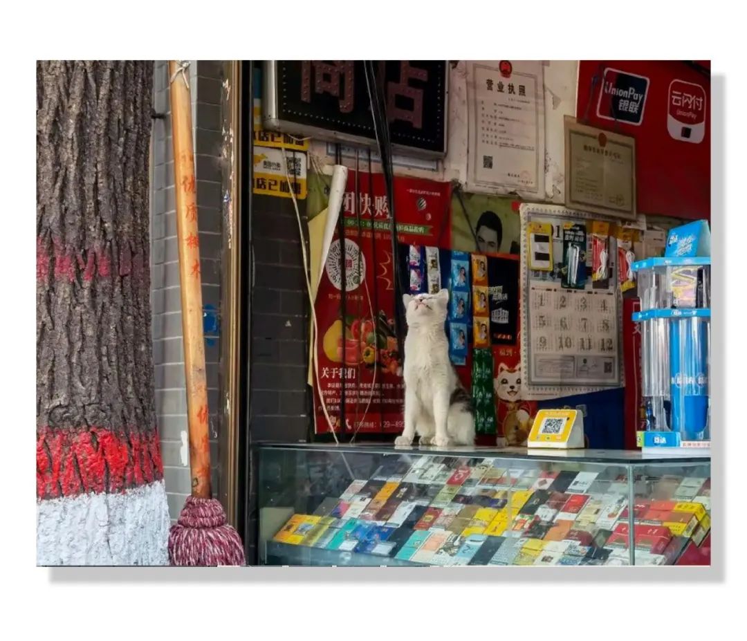 每日休年假,统一休年假