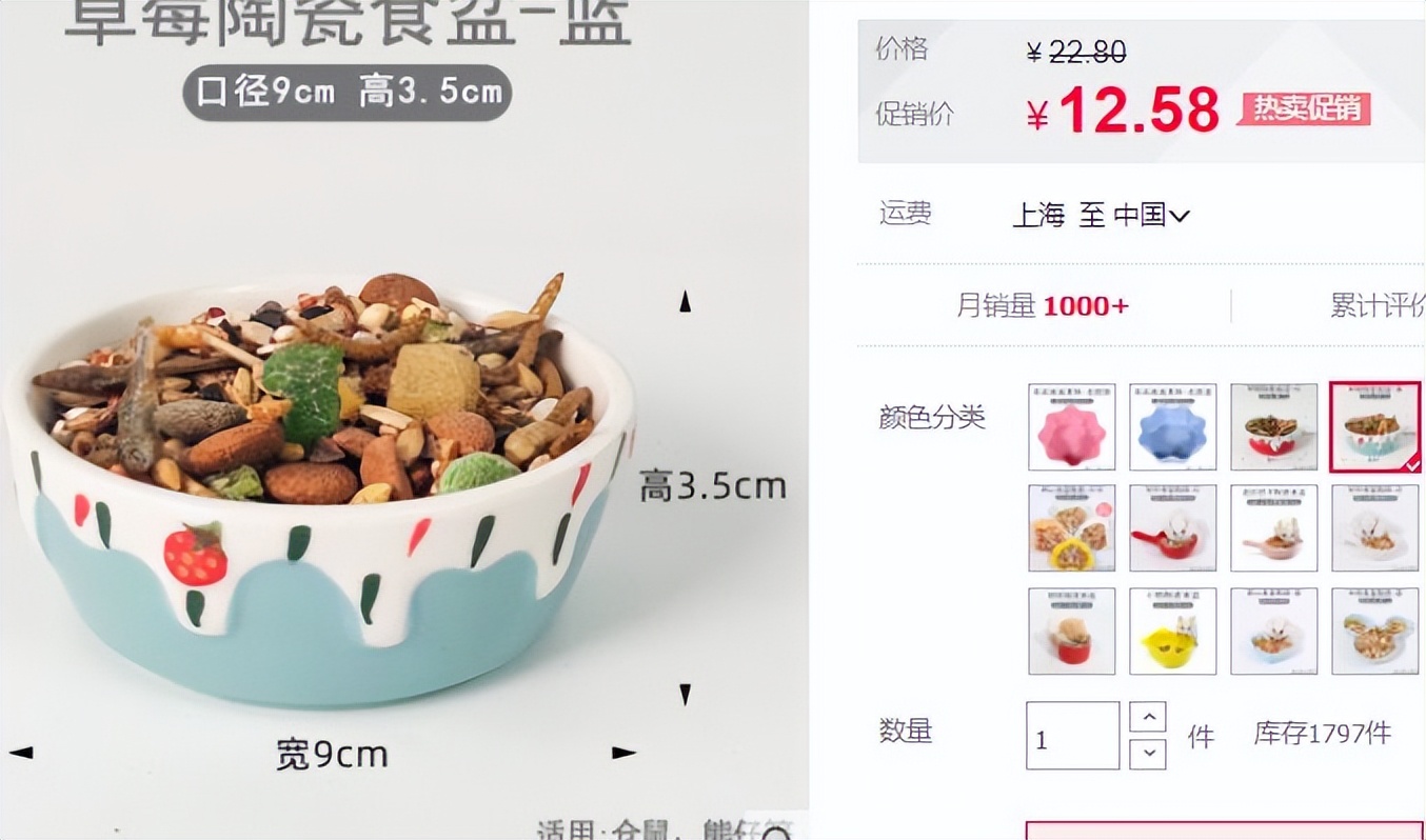 新手养仓鼠的视频,新手养一只小仓鼠