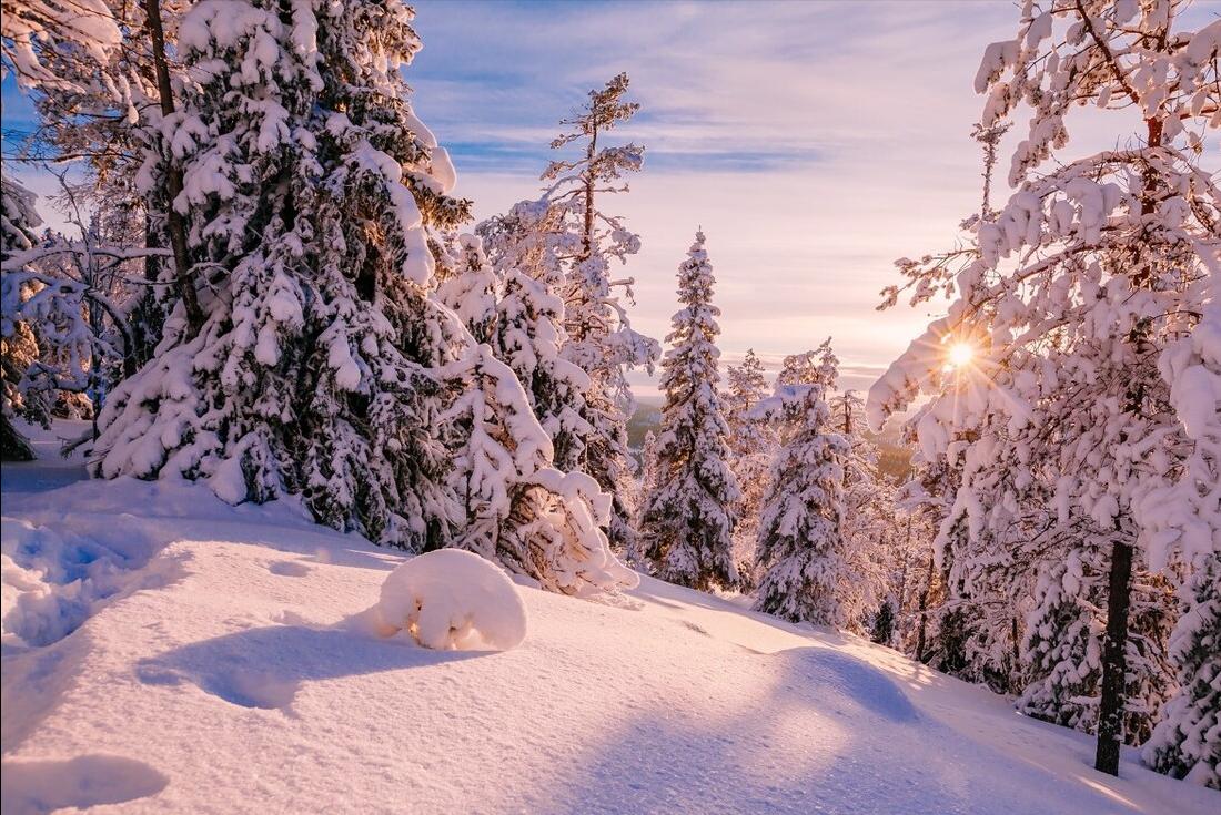 小寒节气诗词五首:只要心中温暖,岁月终将不寒!