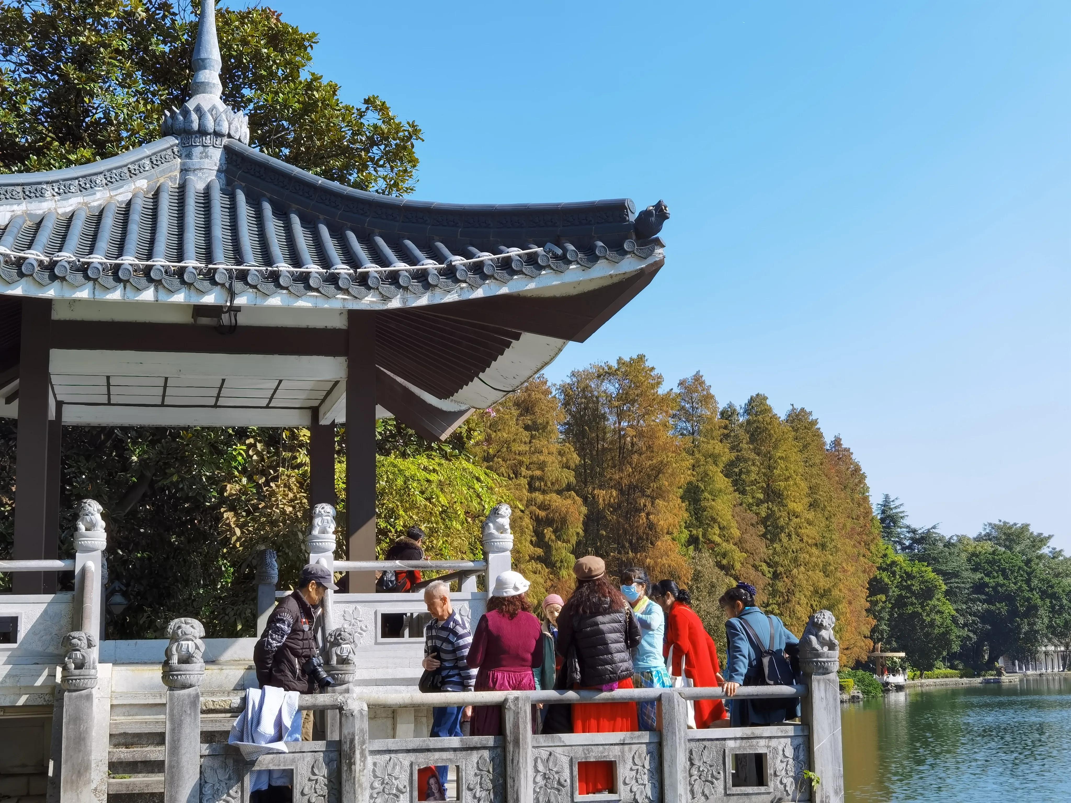 桂林的桂湖在哪里,桂林两江四湖之桂湖