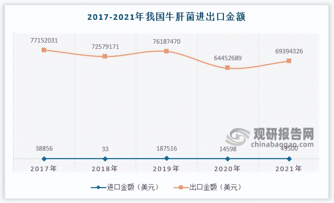 人工牛肝菌的市场分析,2022羊肚菌行业分析