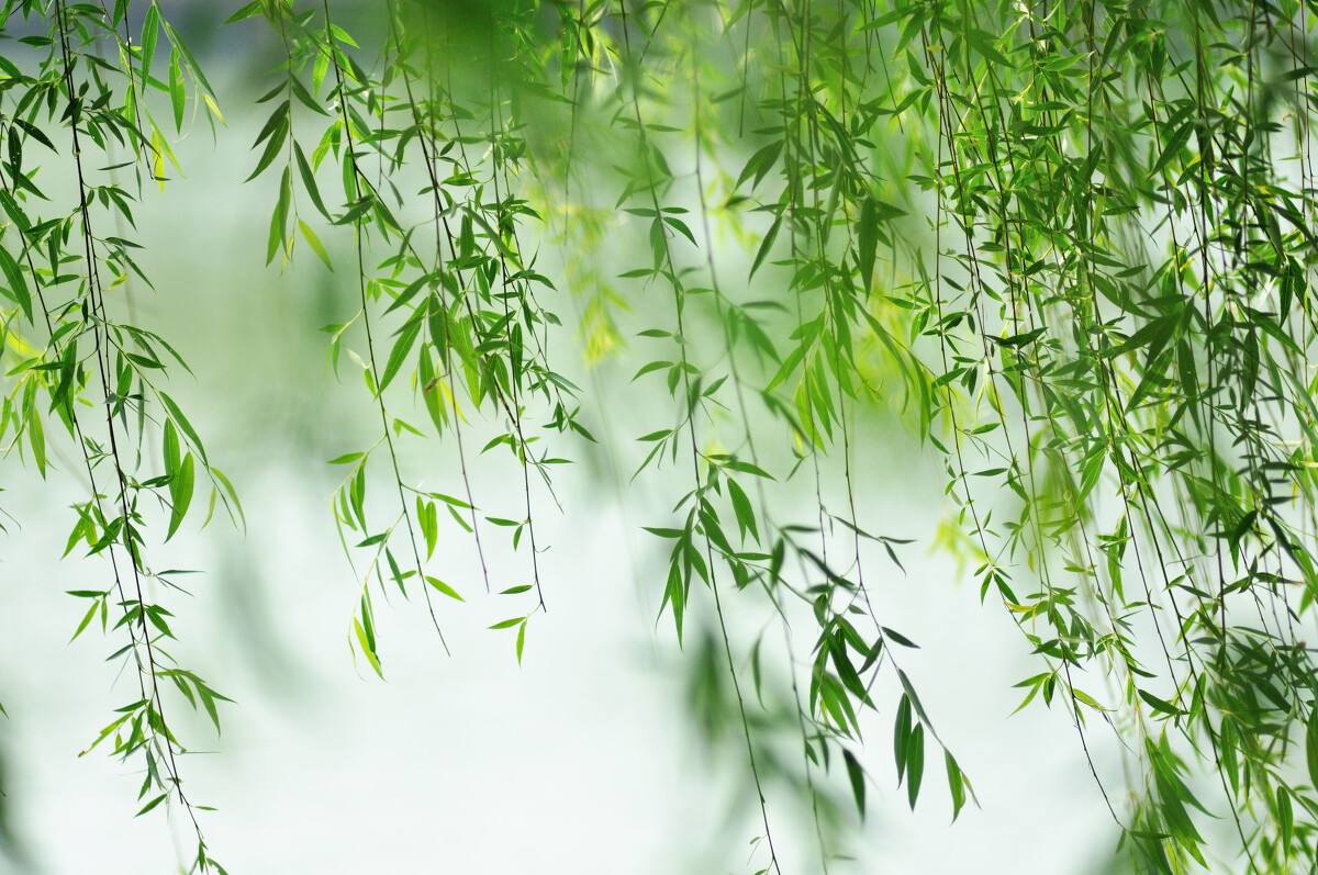 不负*光春**，来郑州人体科学院探寻生命进化证据