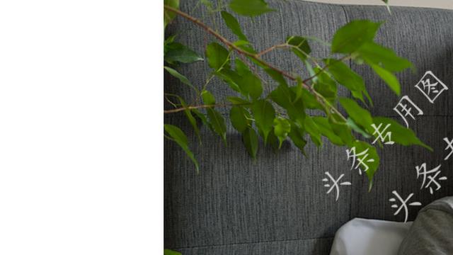 撞见婆婆出轨我该何去何从后续,发现婆婆出轨的正确处理方式