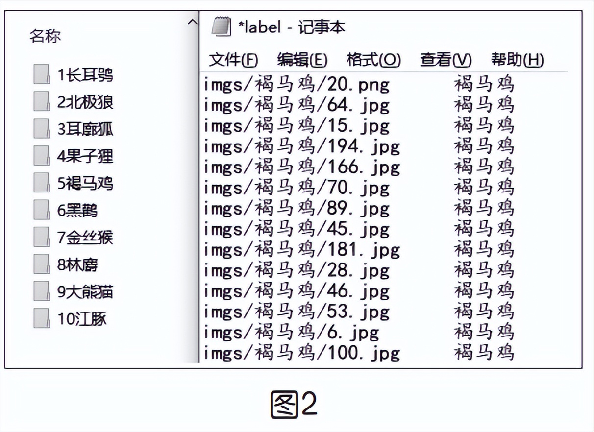 图像动物识别,动物识别图册大全