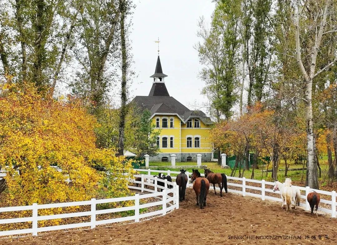 伏尔加庄园最佳观赏期,夏日必去伏尔加庄园十大打卡地