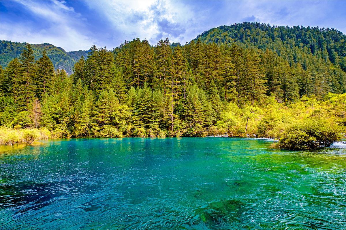 四川九寨沟黄龙成都六日游记,四川九寨沟黄龙七日游