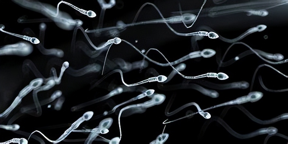 感染新冠病毒有什么后果,感染新冠病毒对生殖器官有影响吗