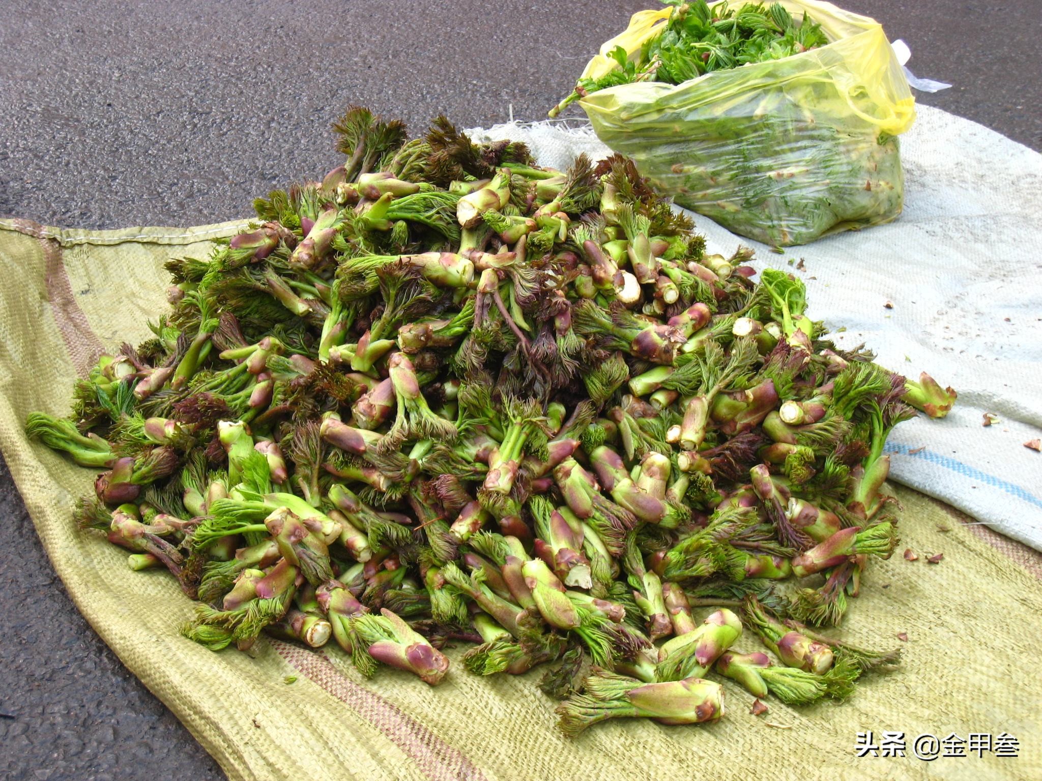 正宗老东北美食,二十多年的老东北美食