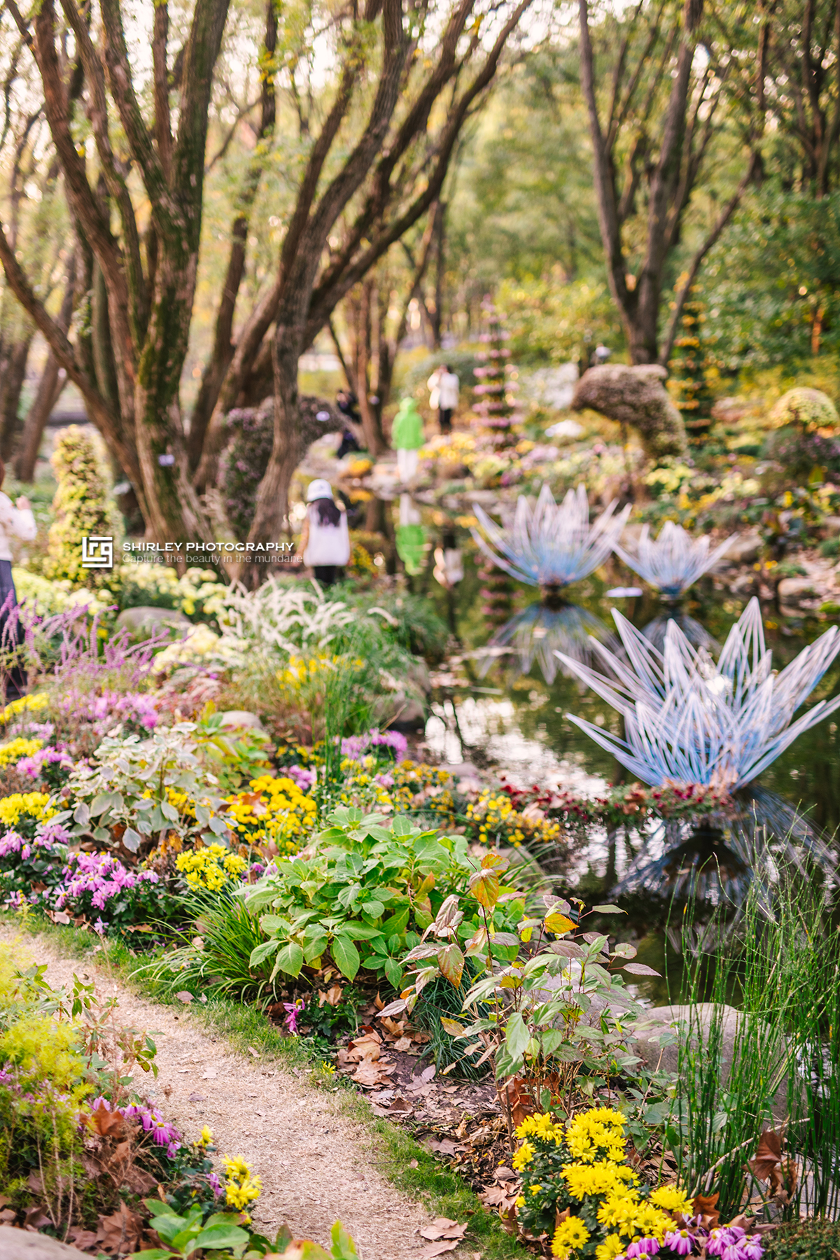上海海湾国家森林公园在什么地方,上海国家森林公园有几个