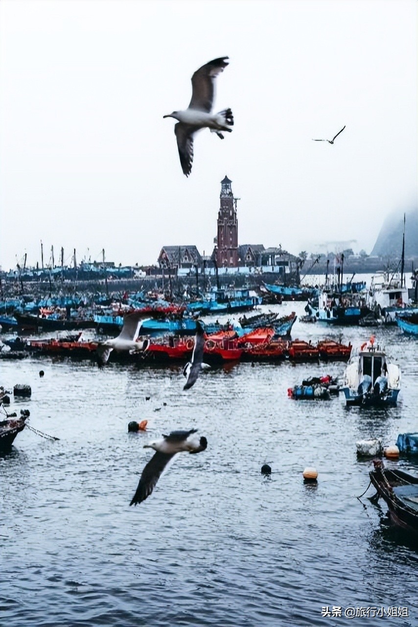 夏日海边浪漫迷人,滨城风光秀丽浪漫气息爆表