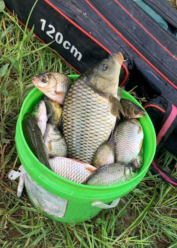 一天钓鱼一两百斤！这些金沙江的钓鱼人过了瘾，也招来骂声