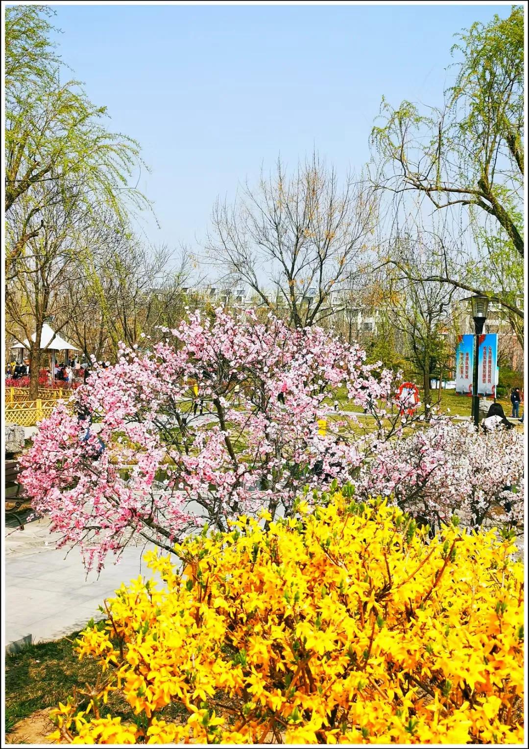 红叶诗五言全文,红叶的诗句古诗大全