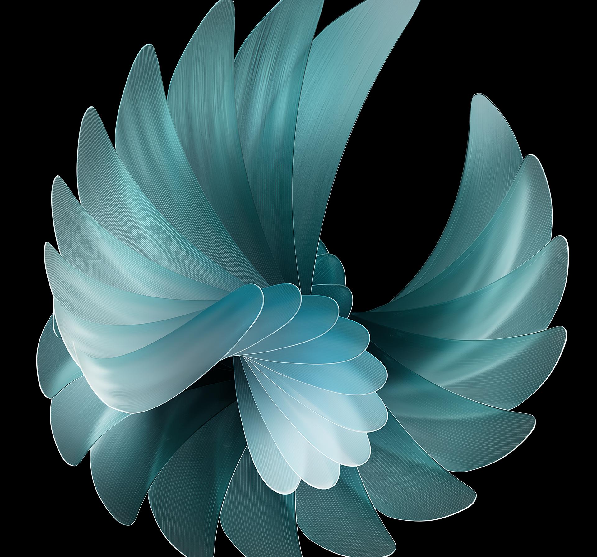 oppofindn2内置壁纸,OPPOFindN2Flip内置壁纸系列