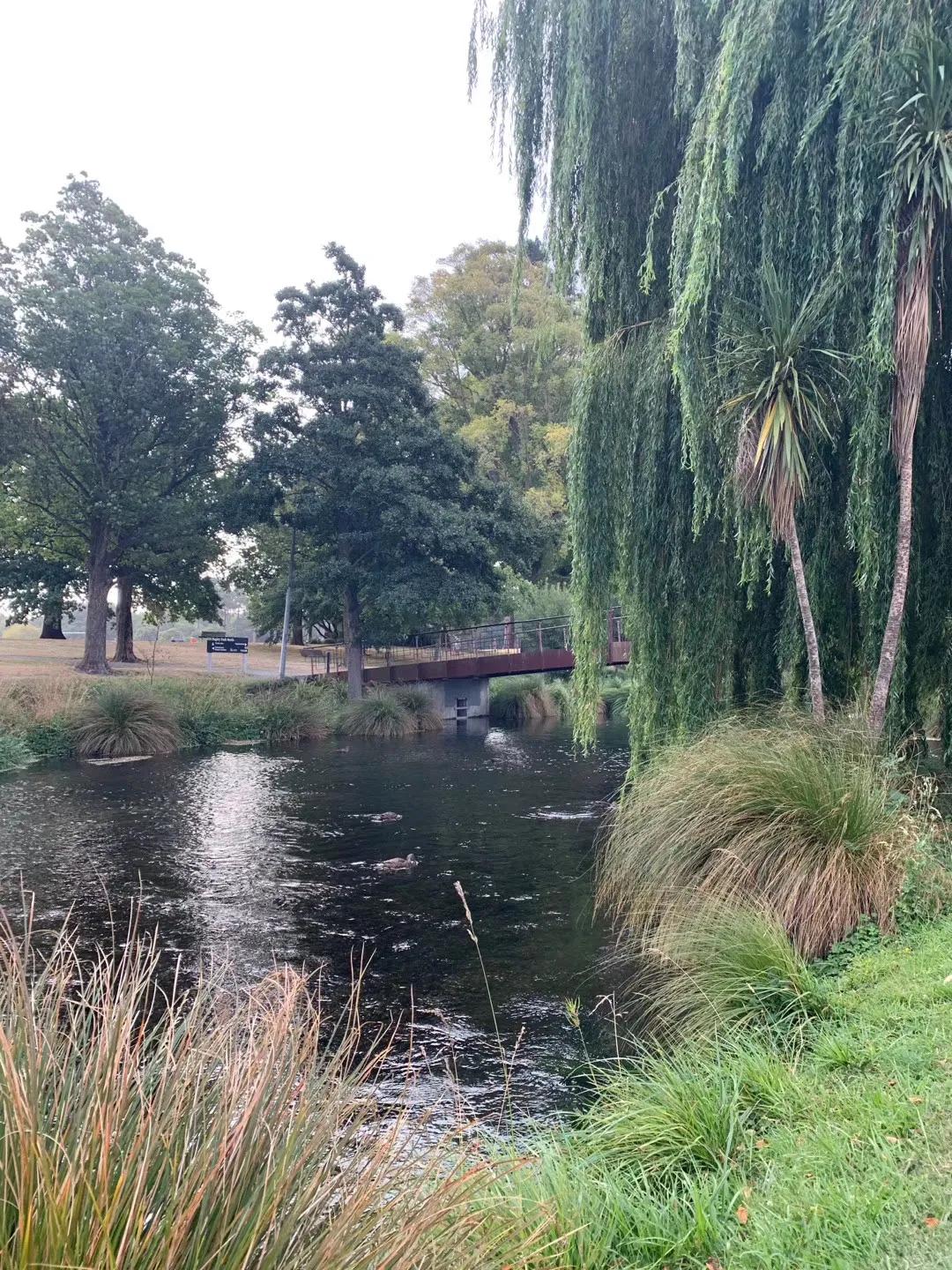新西兰南岛自驾地图,新西兰南岛免费自驾游
