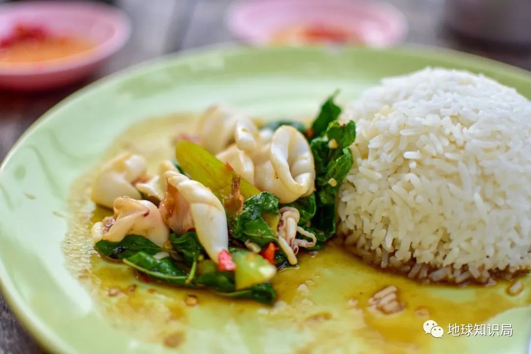泰国米，从小吃到大|地球知识局