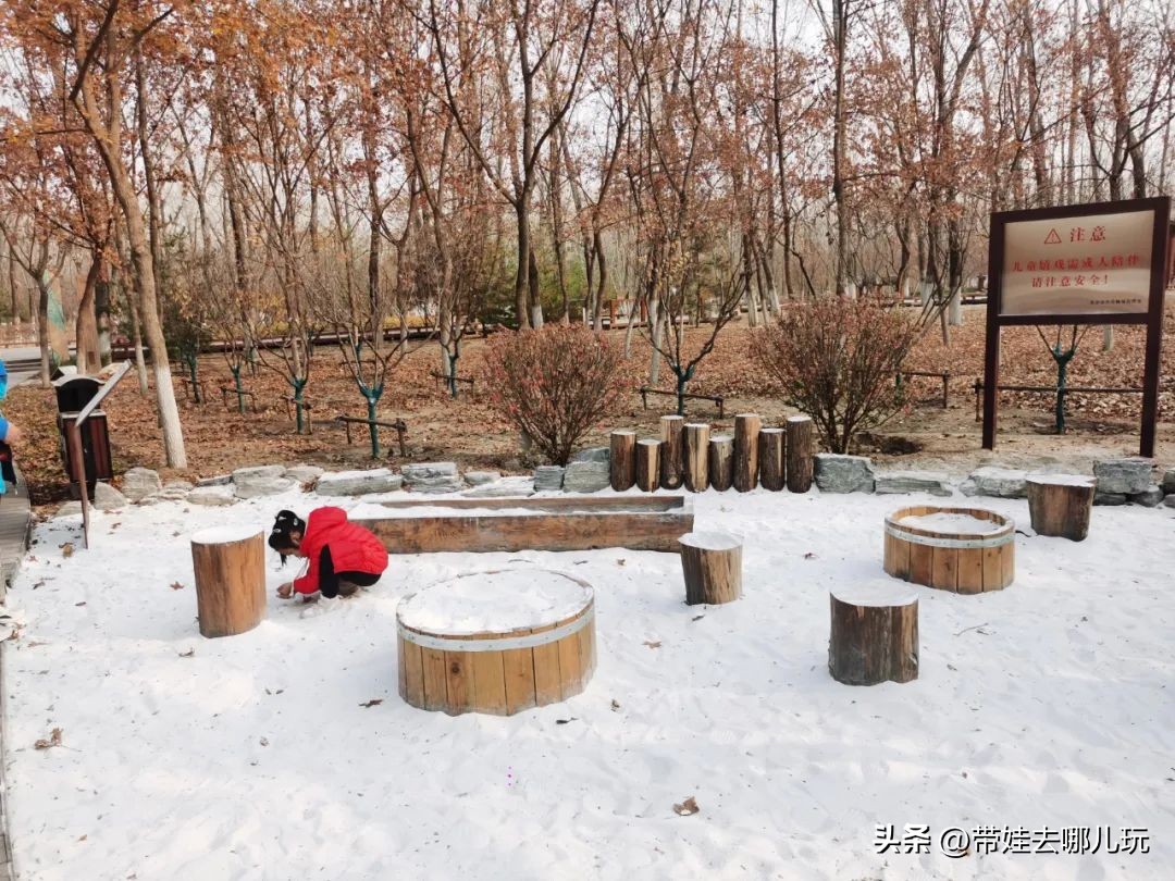 骑行国家森林公园,徒步骑行森林公园