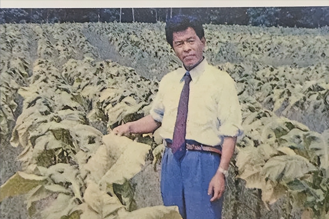 天灾*祸人**中走出的“*草烟**大王”贪污上亿成阶下囚,84岁东山再起