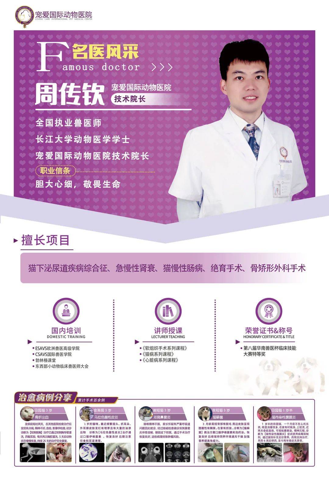 怎么预防猫咪尿路问题,铲屎官必看猫咪小技巧