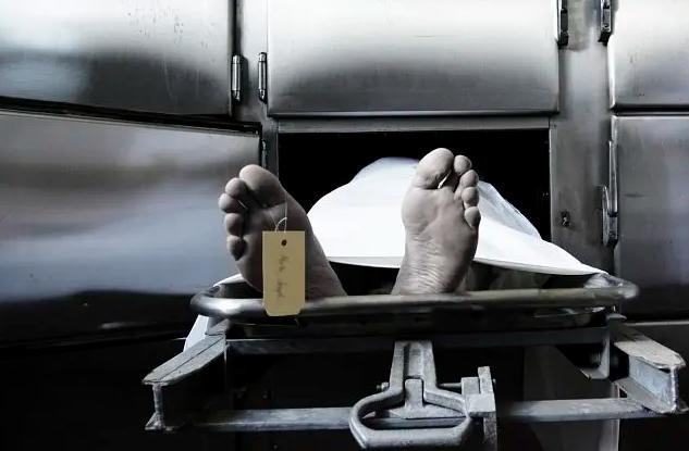 煮人骨，剔腐肉，一年处理50具遗体，直面死亡的人体标本制作师