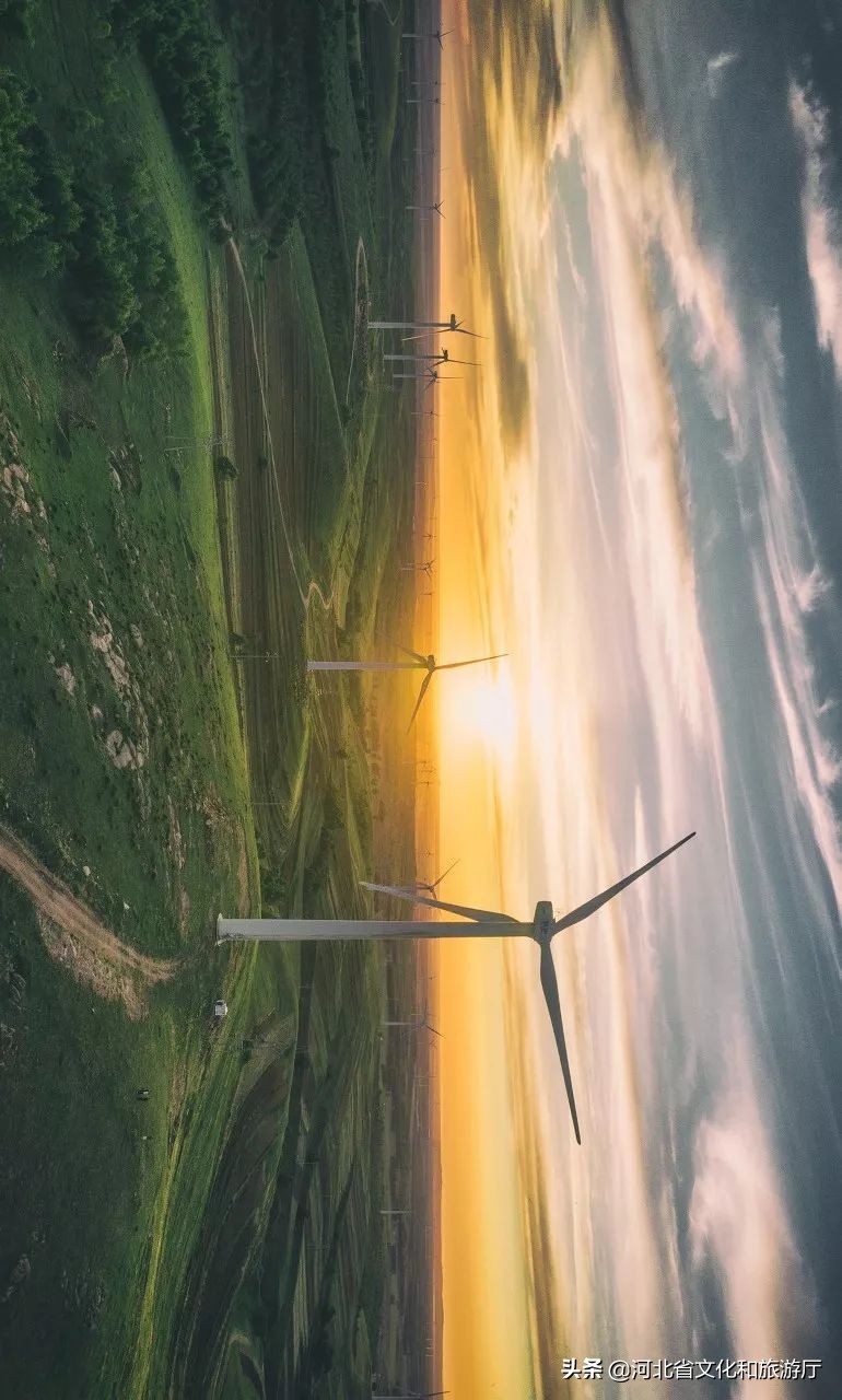 张家口如何从“旱码头”逆袭为“国际张”？